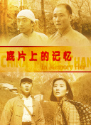 《猫猫的奇幻漂流》的年龄数据方面，从不同维度分析，存有较大差异。